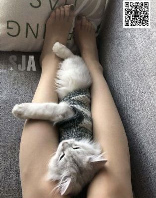秘密教学1～6无删减版在线