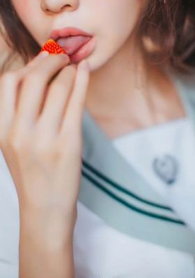 灿烂的花园综艺免费观看高清