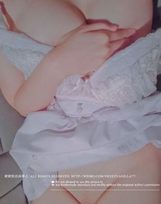 观鸟大年