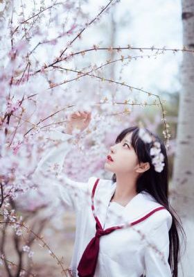 我和婚姻的战斗 电视剧